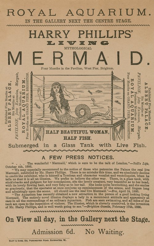 Anúncio para Harry Phillips Living Mythological Mermaid de English School