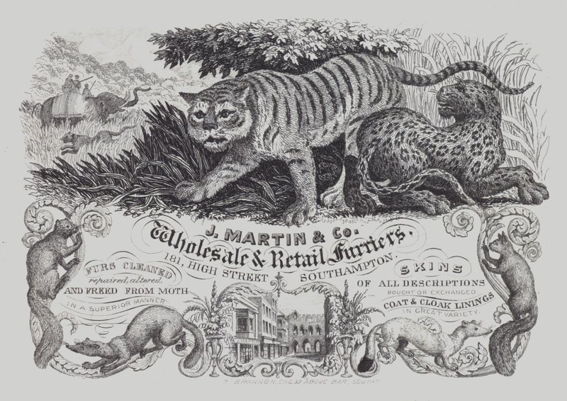 Anúncio para J Martin & Co, atacado e varejo de peleiros, Southampton, Hampshire (litho) de English School