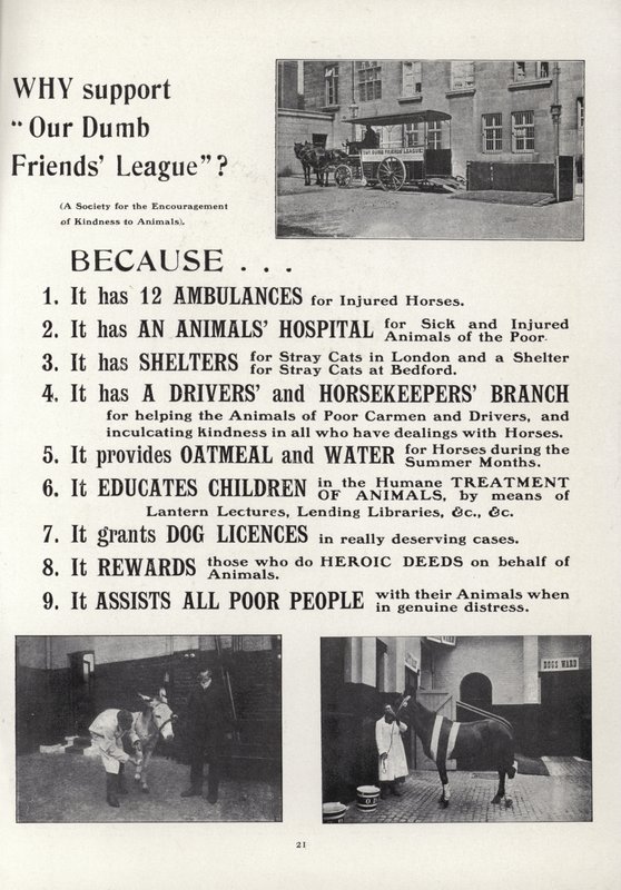 Propaganda para a nossa liga de amigos idiotas de English School