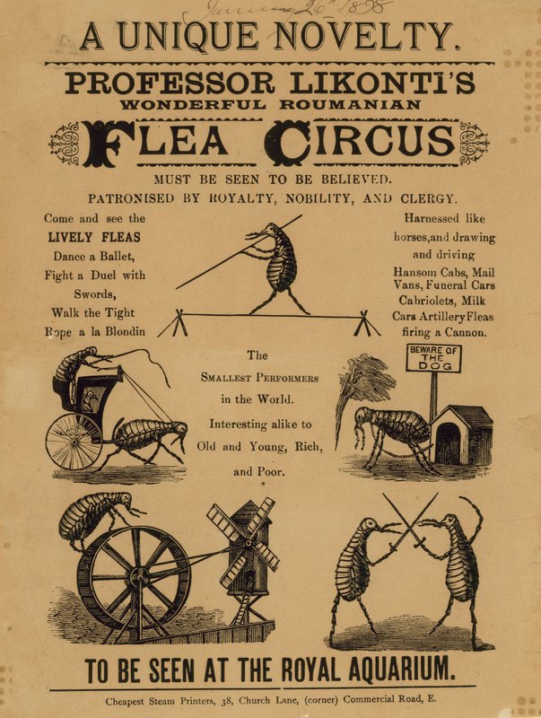 Anúncio para o Professor Likontis Maravilhoso Circo da Pista Roumaniana de English School