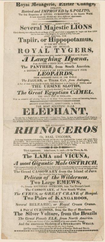 Propaganda para o Menagerie Real, Exeter Change de English School