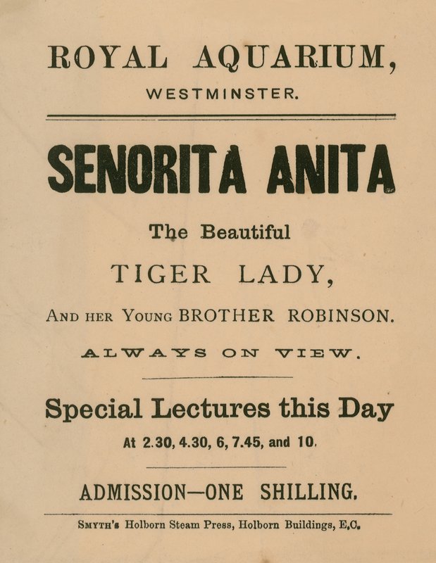Anúncio para Senorita Anita de English School