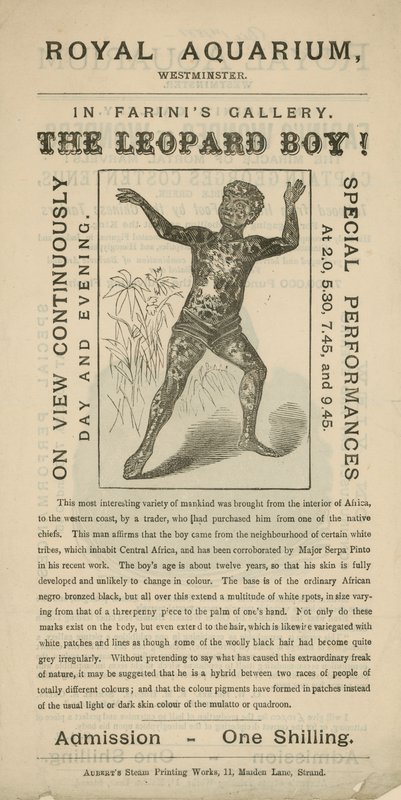 Anúncio para o Leopard Boy de English School
