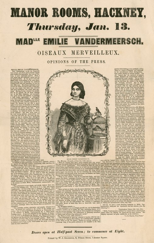 Anúncio para o aparecimento de Mademoiselle Emilie Vandermeersch, Oiseaux Merveilleaux no Manor Rooms, Hackney, Londres de English School