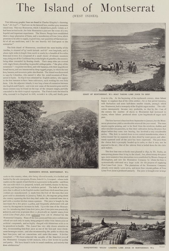 Anúncio, a Ilha de Montserrat, Índias Ocidentais (gravura) de English School