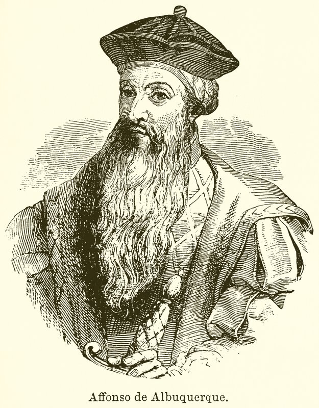 Affonso de Albuquerque  de English School