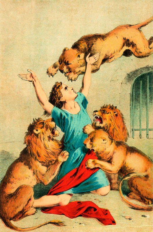 Agaputus lançado para as feras de English School