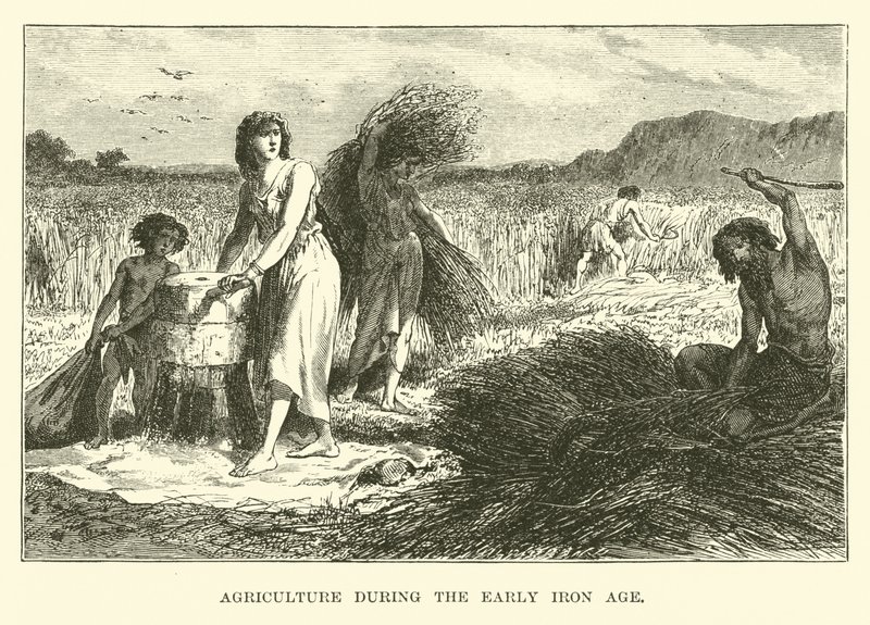 Agricultura durante o início da Idade do Ferro de English School