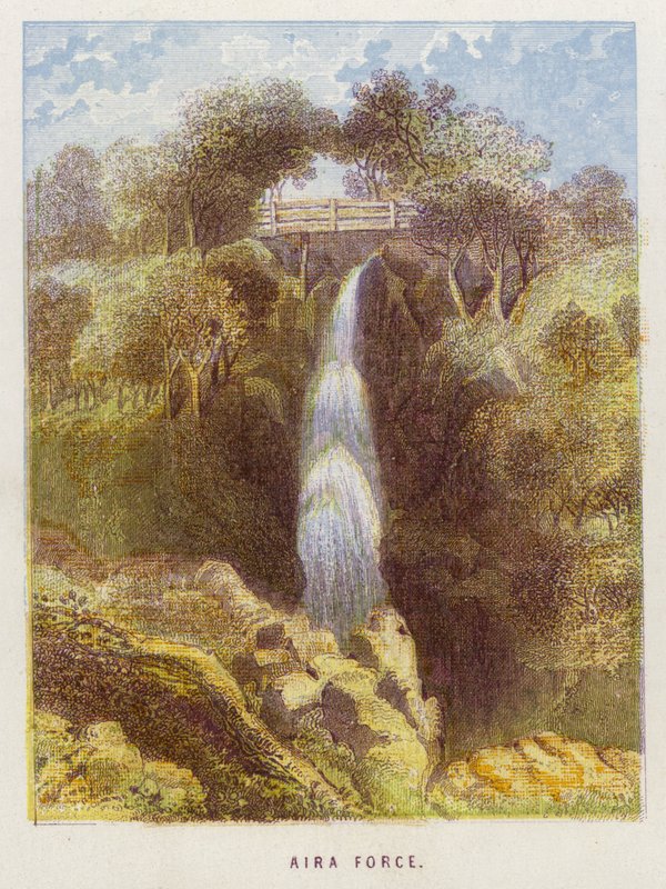 Força Aira (cor litho) de English School