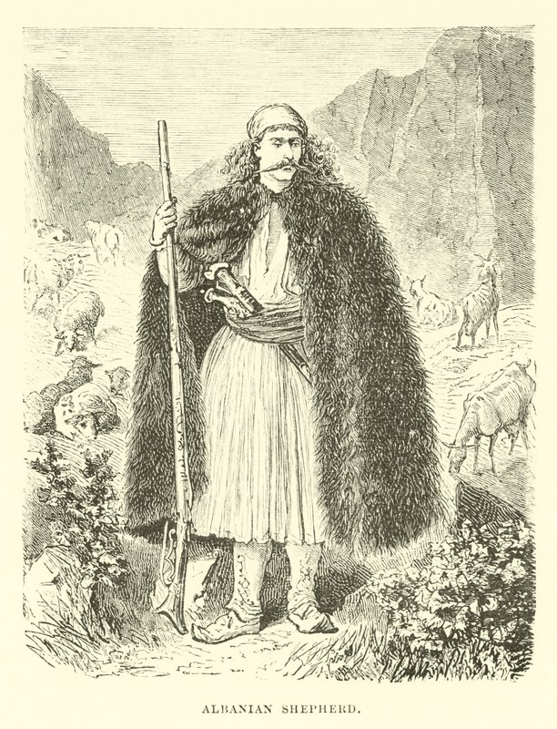 Pastor albanês de English School