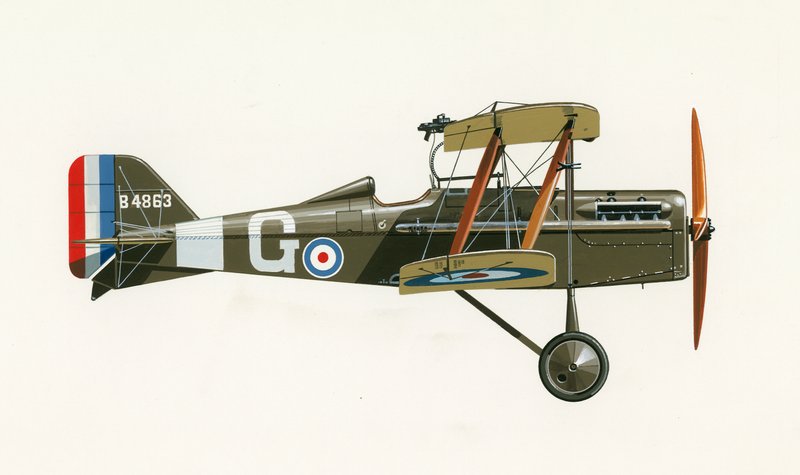 Albatros 100 3 de English School