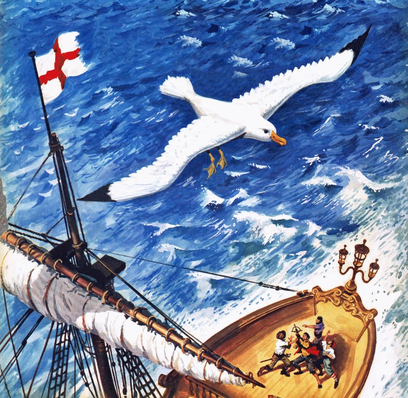 Albatroz de English School