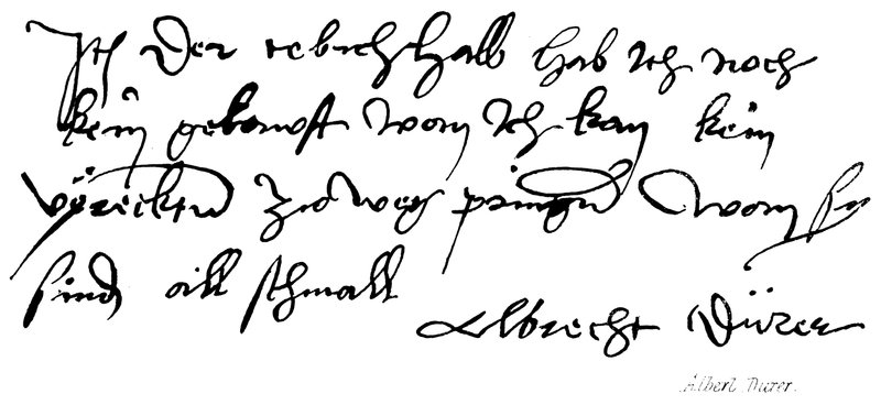 Albert Durer de English School