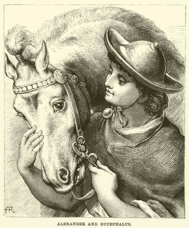 Alexandre e Bucéfalo (gravura) de English School