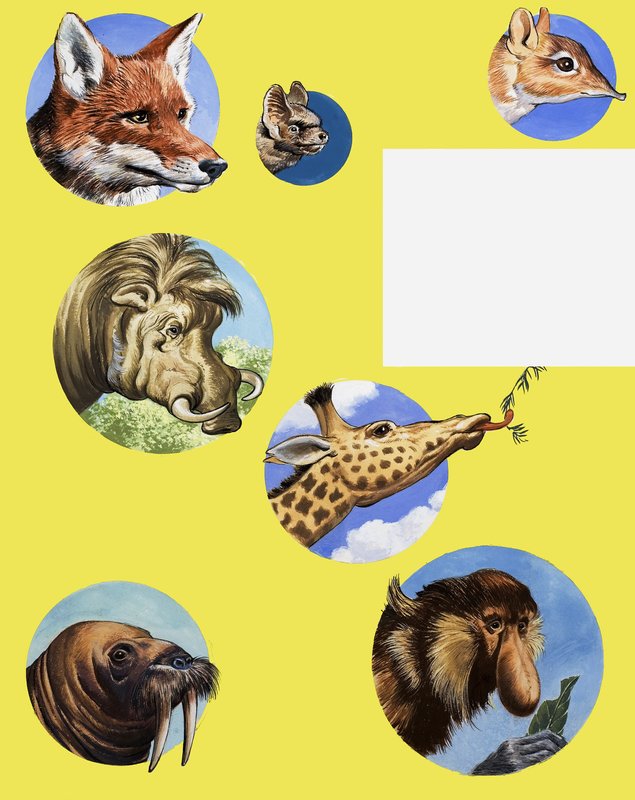 Todos os tipos de Muzzles e Snouts de English School