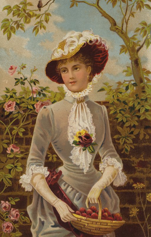 Tudo numa Feira de Jardim (cromolitho) de English School