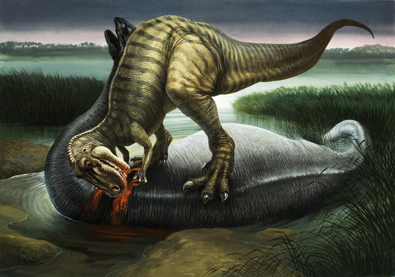 Allosaurus comendo um Apatosaurus de English School