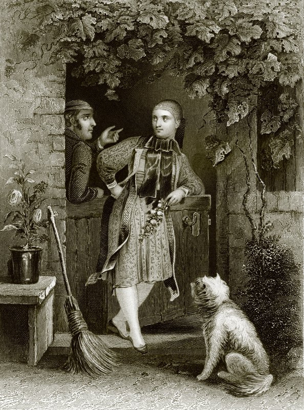Garota altenburg de English School