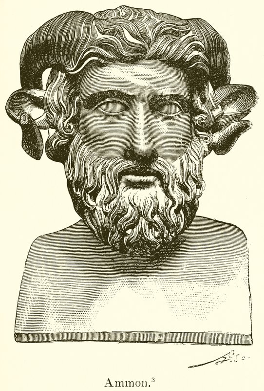 Ammon de English School