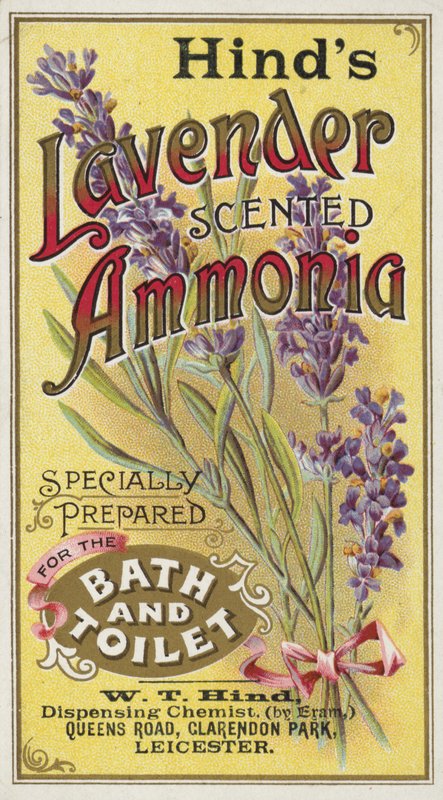 Amônia, lavanda perfumada de English School
