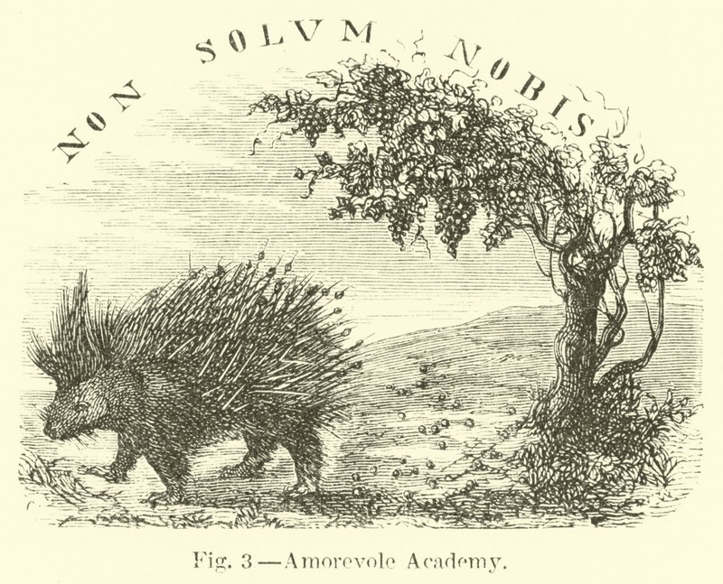 Academia amorosa de English School