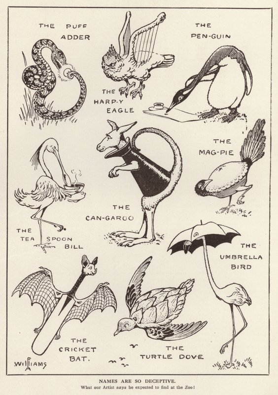 Animais divertidos (litho) de English School