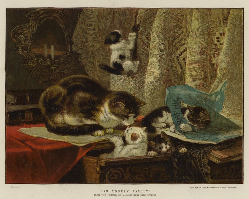 Uma família indisciplinada (cor litho) de English School