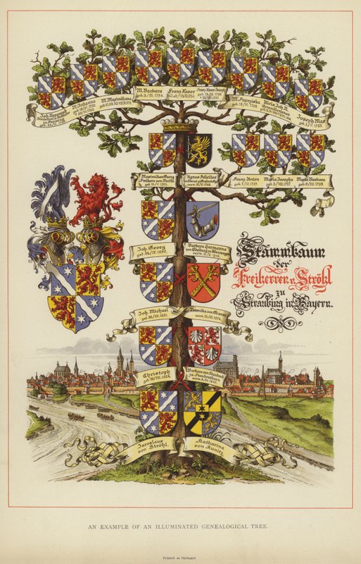 Um exemplo de uma árvore genealógica iluminada (cor litho) de English School
