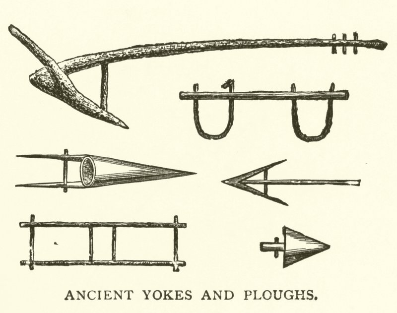 Antigos Yokes e Arados (gravura) de English School