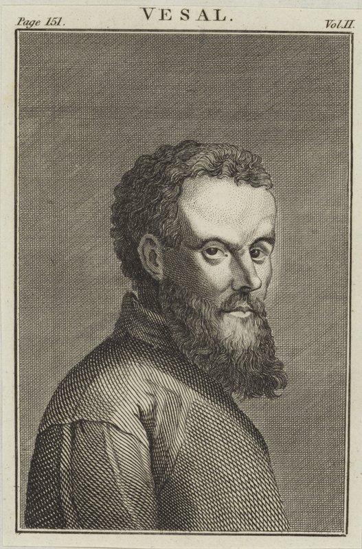 Andreas Vesalius de English School