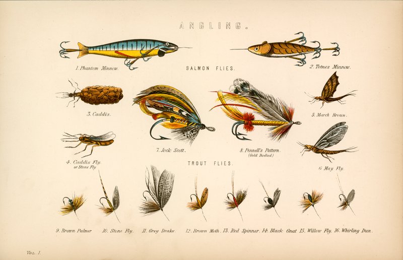 Pesca de English School