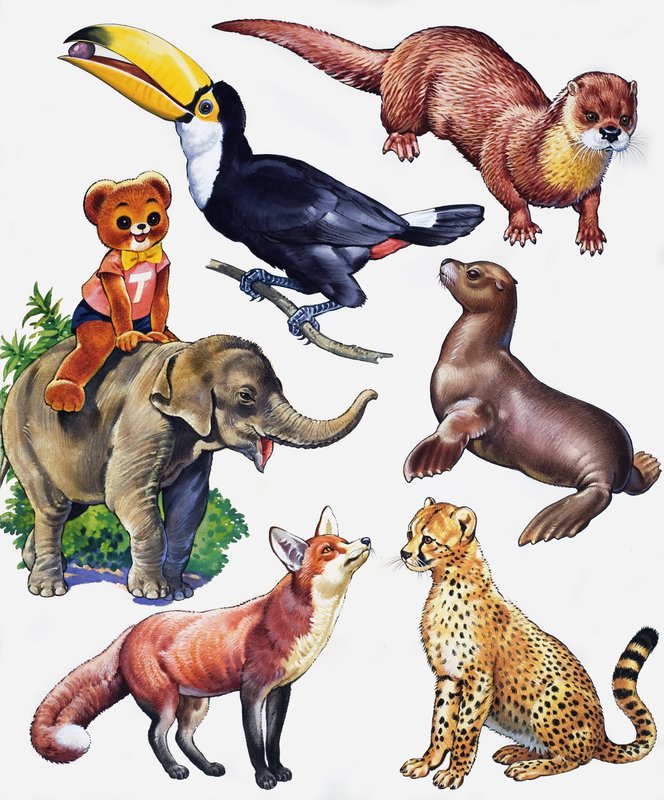 Montagem animal de English School