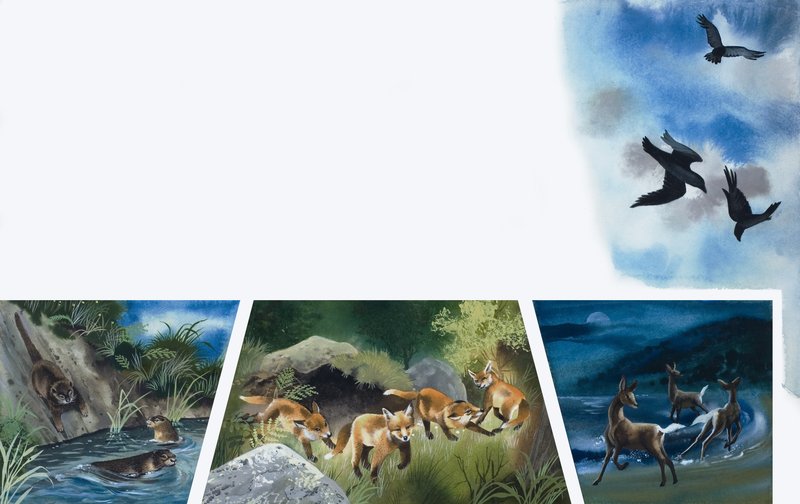 Animais em jogo de English School