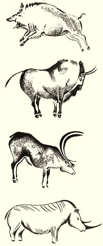 Animais com montagem de chifres de English School
