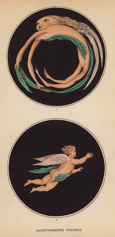 Figuras de anortoscópio (litografia) de English School