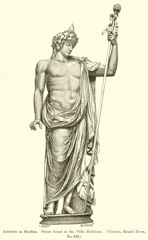 Antínous como Baco. Estátua encontrada na Villa Hadriana. (Vaticano, sala redonda, nº 540) de English School