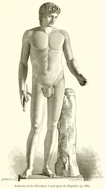 Antinous do Belvedere, encontrado no Esquilino de English School
