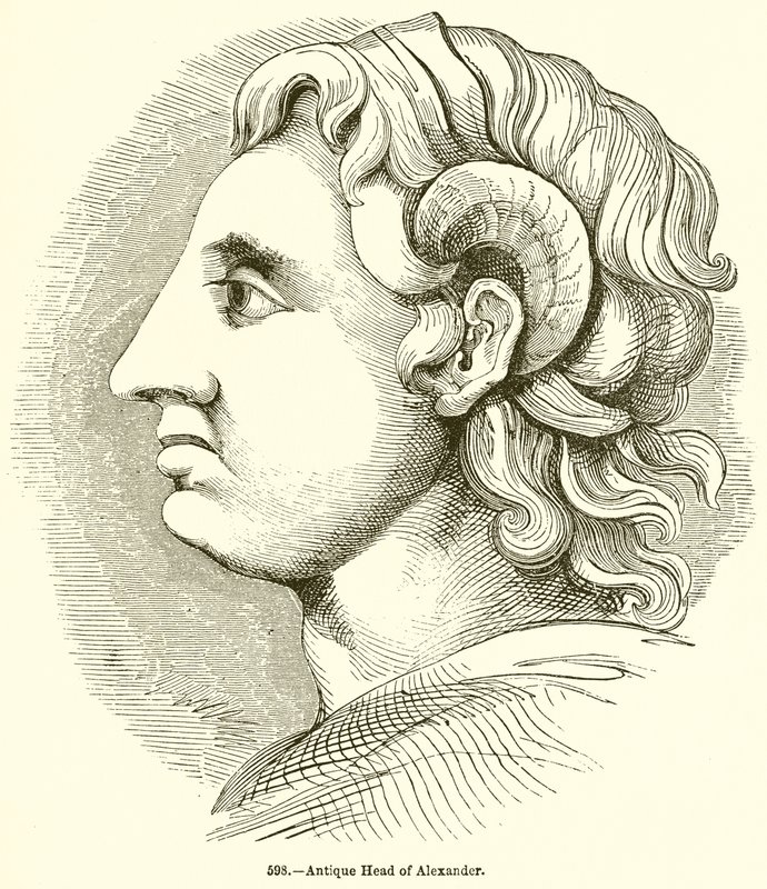 Cabeça antiga de Alexandre de English School