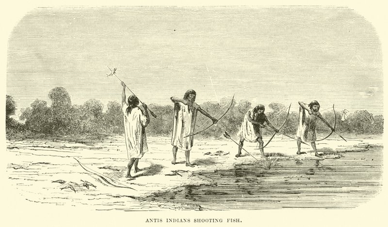 Antis índios atirando peixe de English School