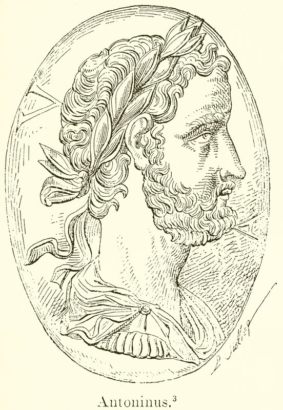 Marcus de English School