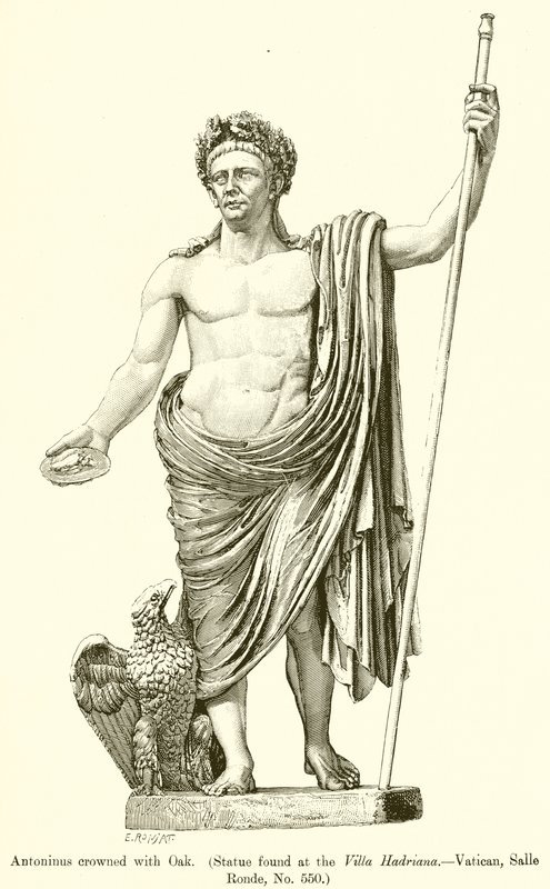 Antonino coroado com carvalho. (Estátua encontrada na Villa Hadriana. - Vaticano, Salle Ronde, nº 550) de English School