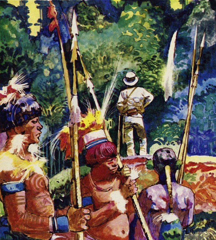 Antonio Raimondi alcançou o que ele pensava ser a fonte da Amazônia de English School