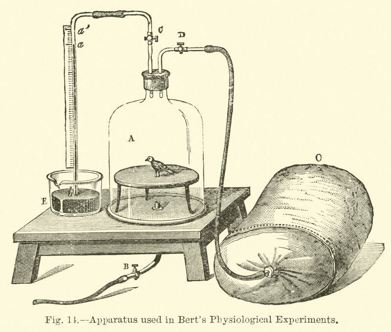 Aparelho usado em experimentos fisiológicos de Berts de English School