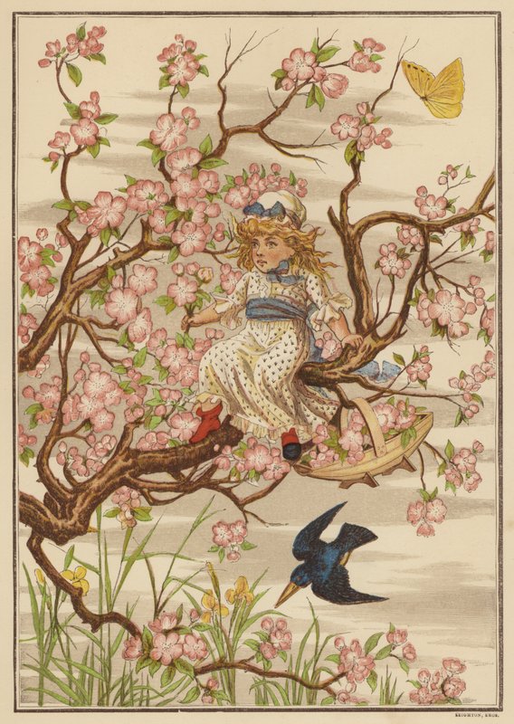 Flor de maçã (cor litho) de English School
