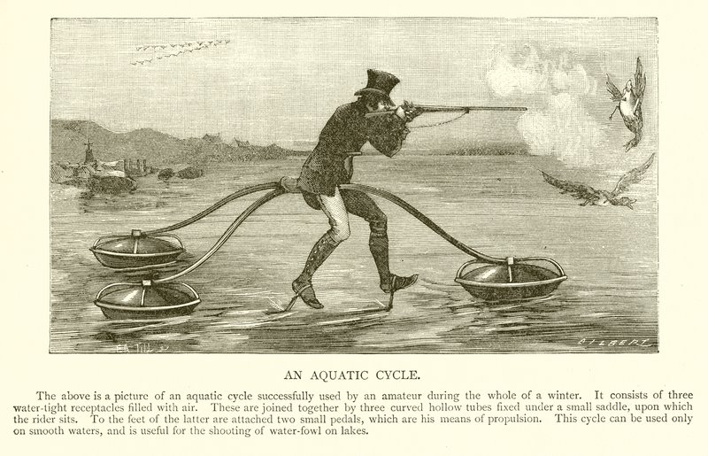 Ciclo aquático de English School