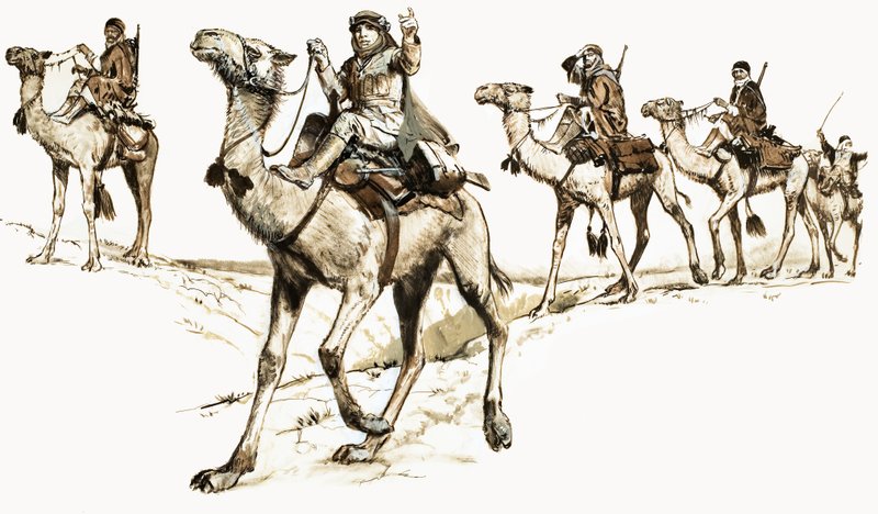 Árabes atravessando o deserto em camelos de English School
