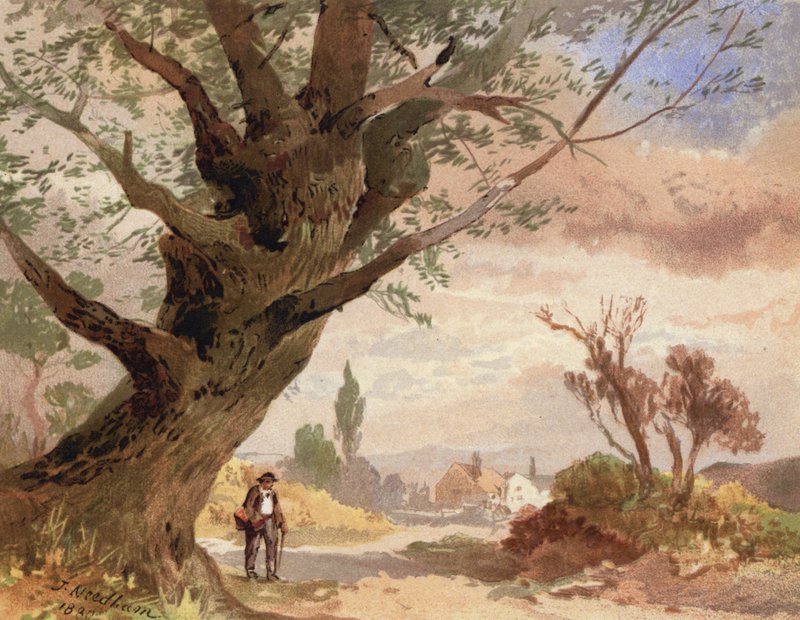 Ash by the Wayside (lito colorido) de English School