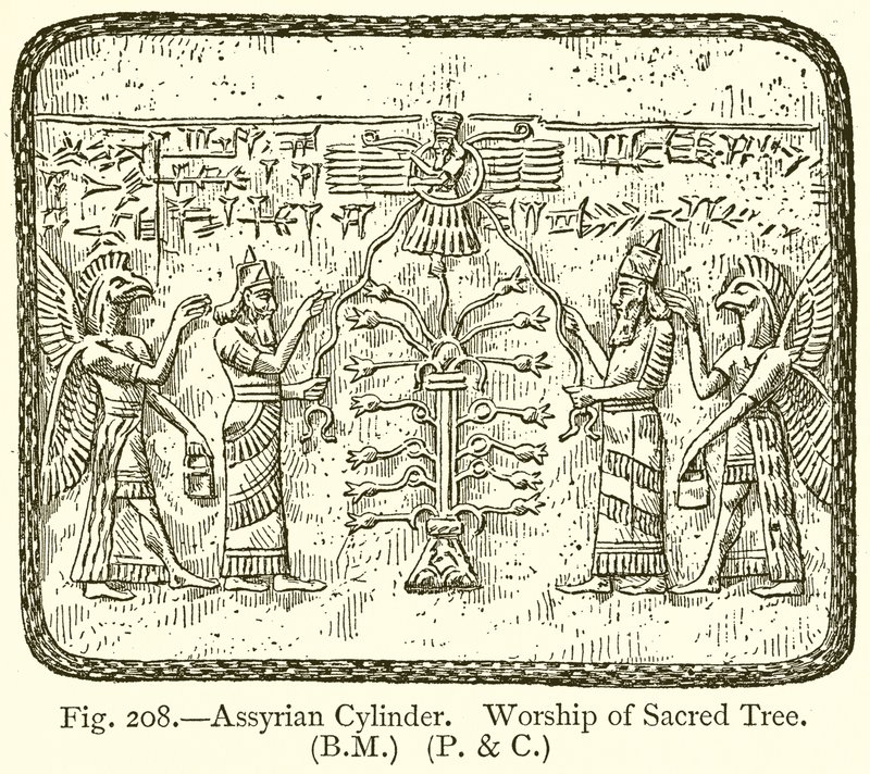 Cilindro Assírio. Adoração da Árvore Sagrada de English School