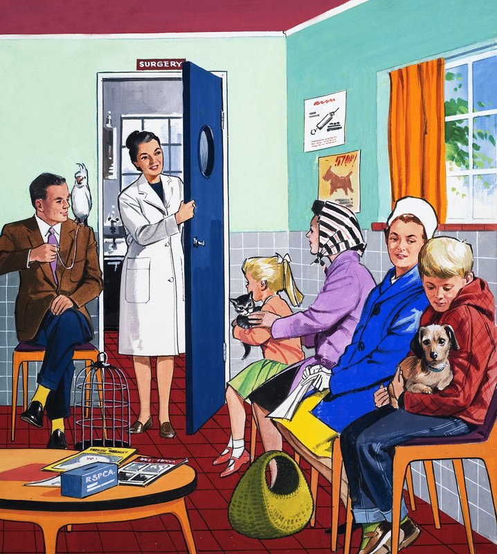 Nos veterinários de English School
