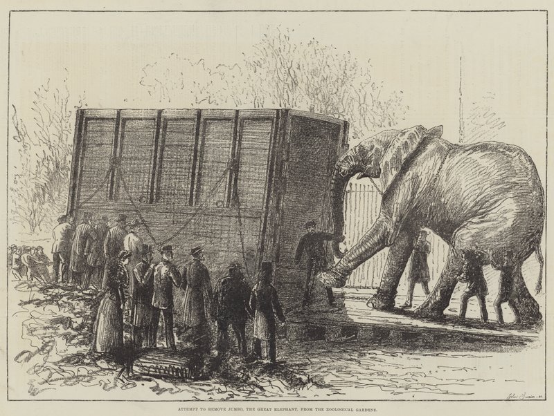 Tentativa de remover o Jumbo, o Grande Elefante, do Jardim Zoológico (litho) de English School